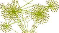 An algorithm developed in lab called ARACNe uses gene expression data to identify transcriptional interactions